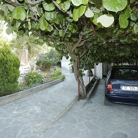 דירה Dijana *